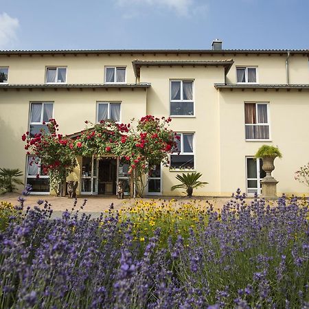 Mediterran Hotel Juwel Karlstein am Main المظهر الخارجي الصورة